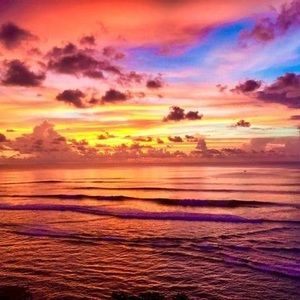 Meet your Posher, Carmen